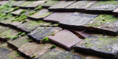 Whitington roof repair costs